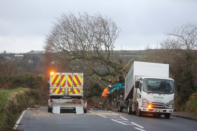 Tree down on Richmond Hill, Storm Darragh. Photo by Callum Staley (CJS Photography)