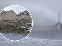 Pictures as Storm Darragh leaves a trail of destruction in its wake