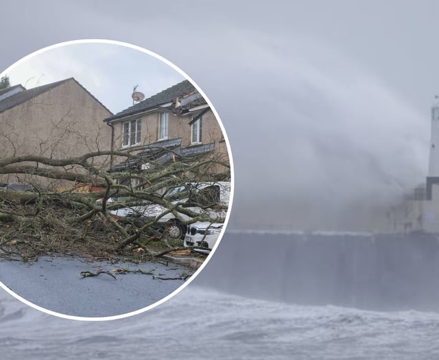 Pictures as Storm Darragh leaves a trail of destruction in its wake