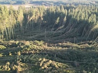 Harvesting operation to begin in Manx plantations following storms