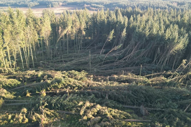 South Barrule Plantation is currently unsafe to visit and has been closed to the public until further notice due to significant storm damage