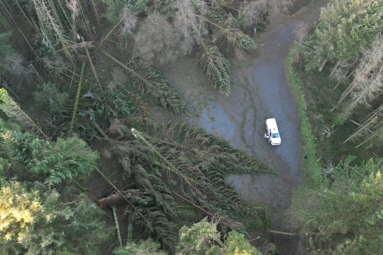 Archallagan also suffered considerable damage during the storm which has forced the Department to close the forest and its three car parks to the public