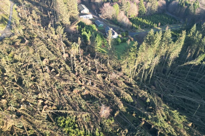 South Barrule Plantation is currently unsafe to visit and has been closed to the public until further notice due to significant storm damage