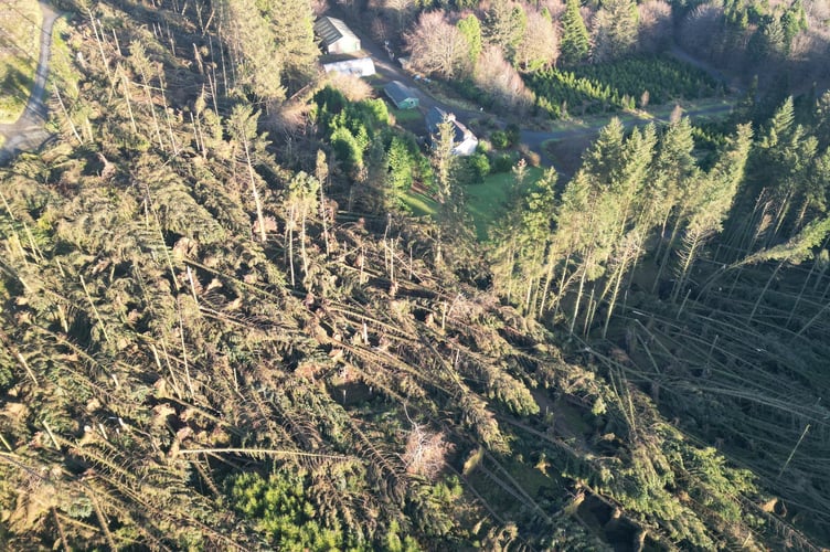 South Barrule Plantation is currently unsafe to visit and has been closed to the public until further notice due to significant storm damage