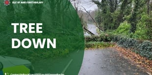 Fallen trees causing issues on the roads with strong gales continuing