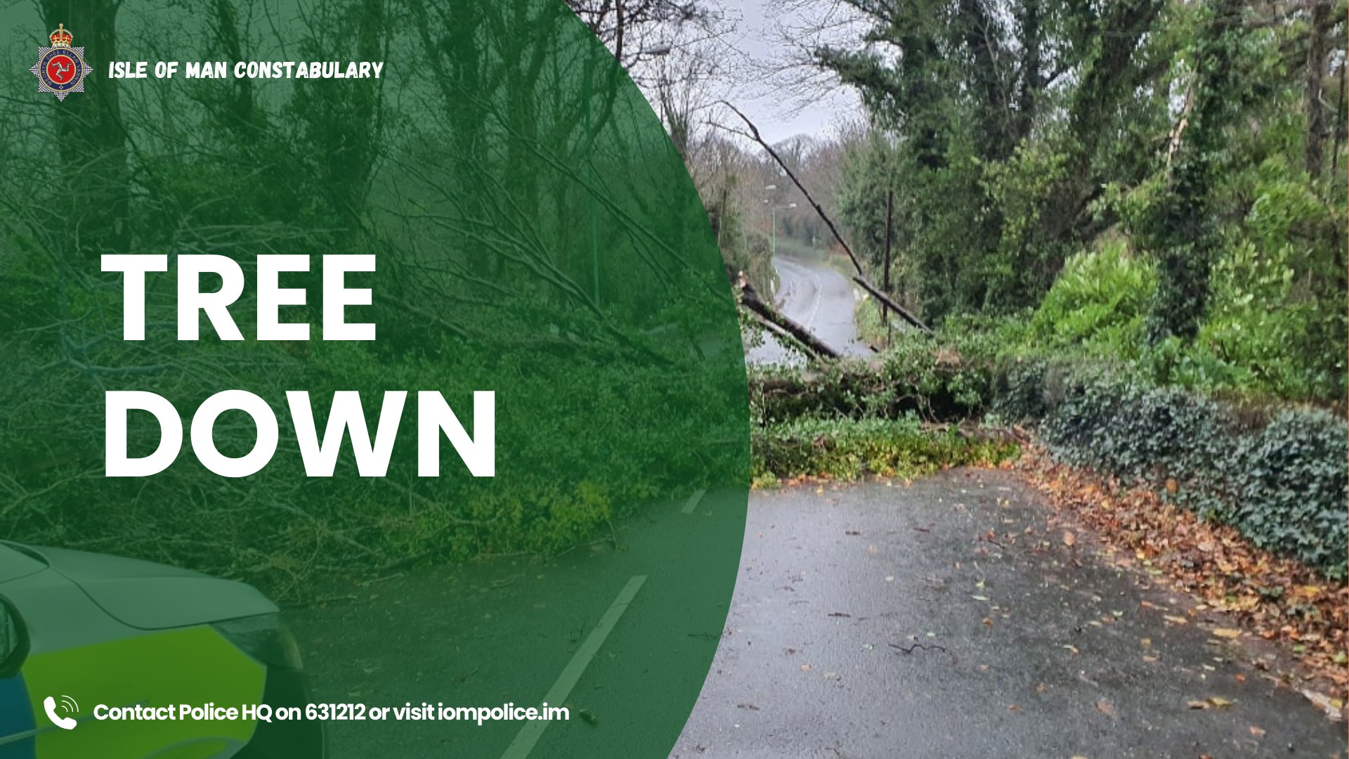 Fallen trees causing issues on the roads with strong gales battering ...