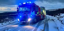 Firefighters rescue driver in early morning road collision 