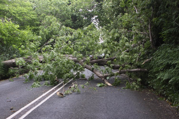 Previous gale force winds resulted in Whitebridge Hill being blocked by a tree which had blown over