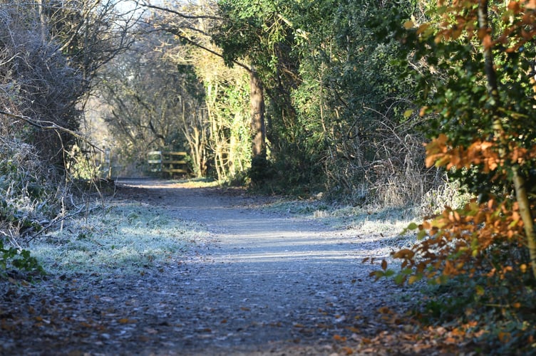 Frosty conditions on the old railway line in Union Mills